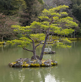 Natur